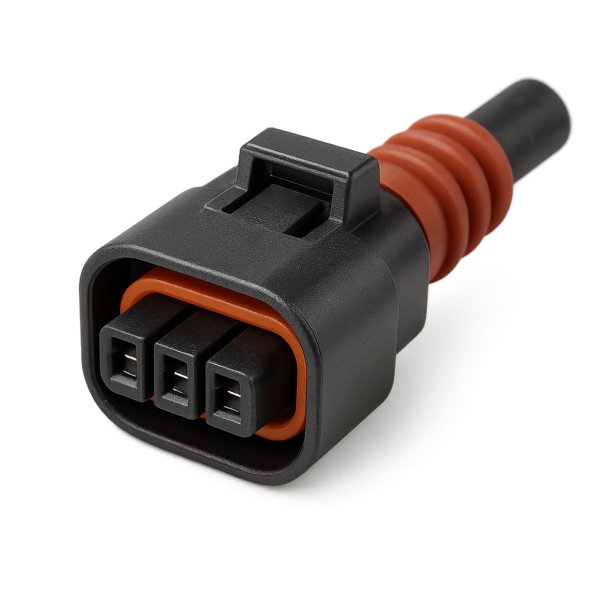 Plug