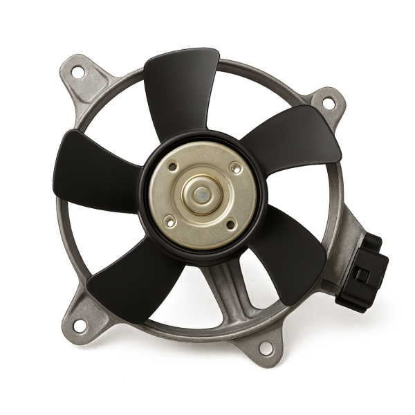 Fan