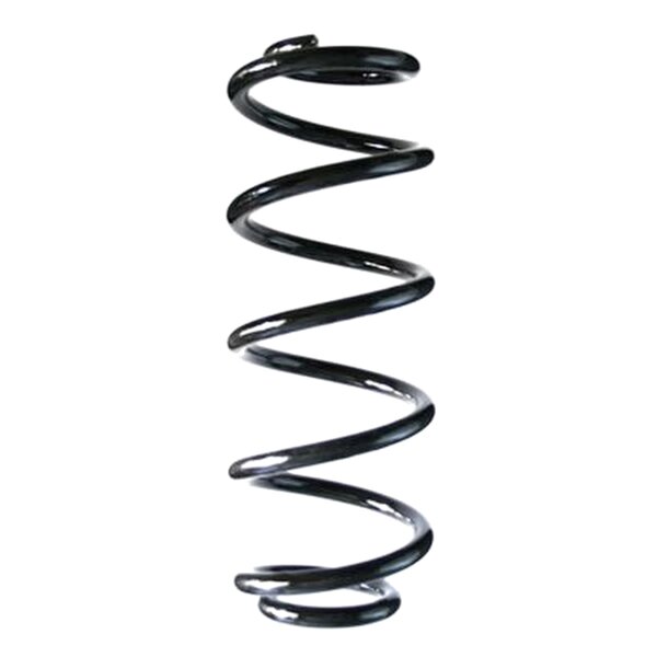 SPIDAN 85557 Fahrwerksfeder hinten