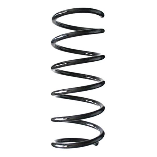 SPIDAN 85569 Fahrwerksfeder hinten