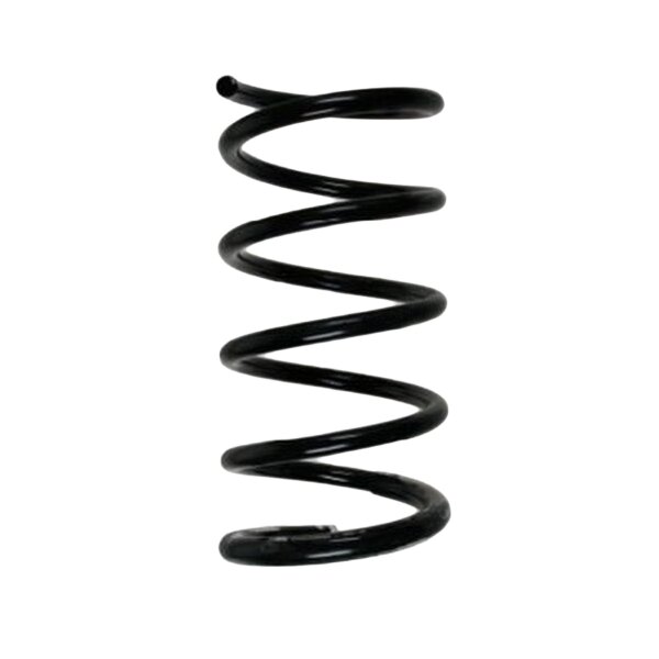 SPIDAN 85691 Fahrwerksfeder hinten