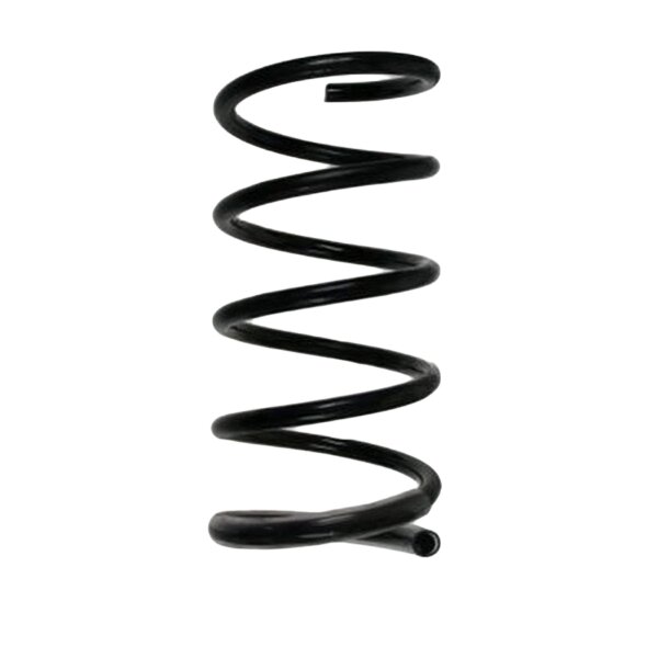 SPIDAN 85695 Fahrwerksfeder hinten