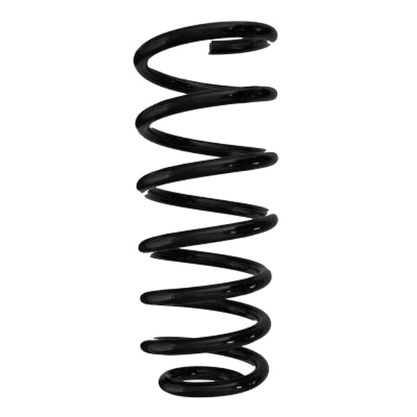 SPIDAN 85696 Fahrwerksfeder hinten