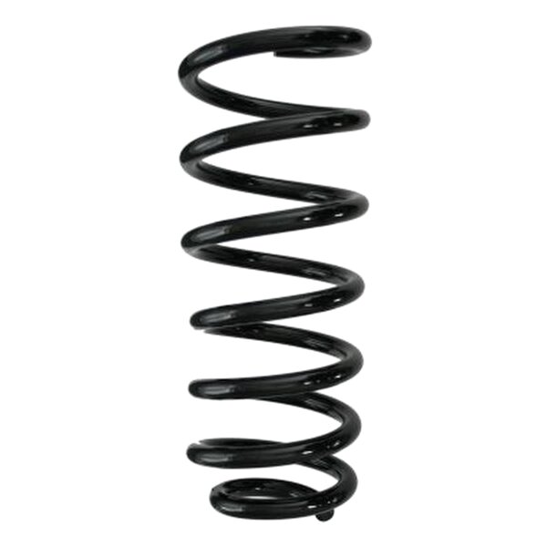 SPIDAN 85697 Fahrwerksfeder hinten