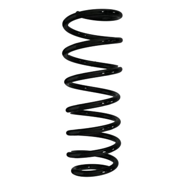 SPIDAN 85698 Fahrwerksfeder hinten