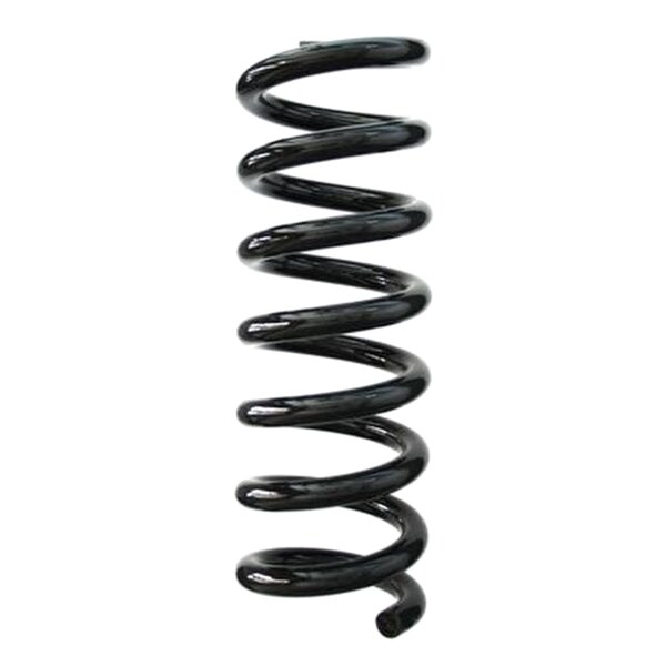 SPIDAN 85747 Fahrwerksfeder hinten