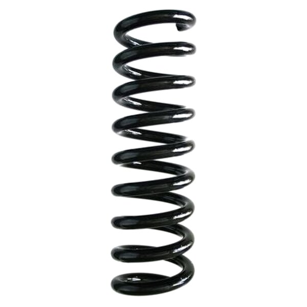 SPIDAN 85766 Fahrwerksfeder hinten