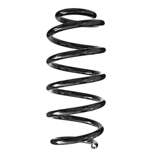 SPIDAN 85788 Fahrwerksfeder hinten