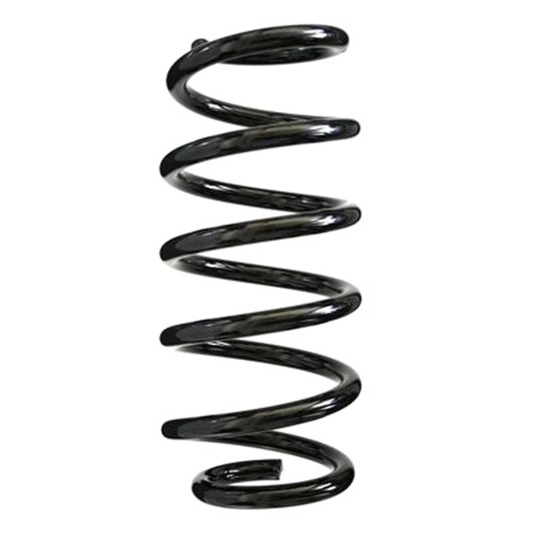 SPIDAN 85789 Fahrwerksfeder hinten