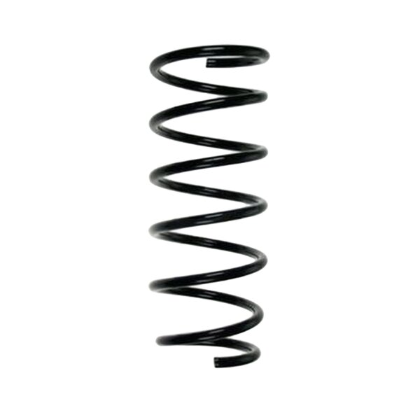 SPIDAN 85800 Fahrwerksfeder hinten