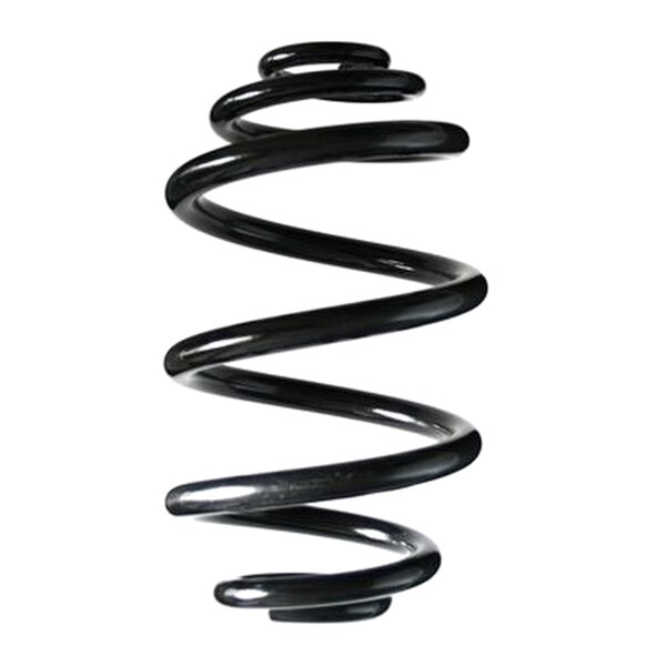 SPIDAN 85839 Fahrwerksfeder hinten