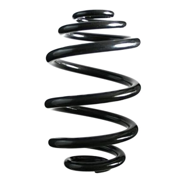 SPIDAN 85840 Fahrwerksfeder hinten