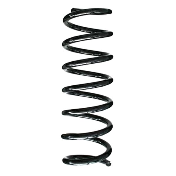 SPIDAN 85944 Fahrwerksfeder hinten