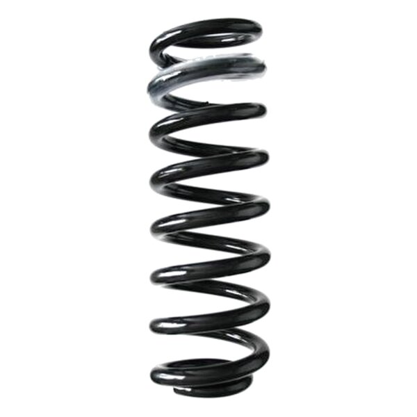 SPIDAN 85950 Fahrwerksfeder hinten