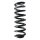 SPIDAN 85950 Fahrwerksfeder hinten