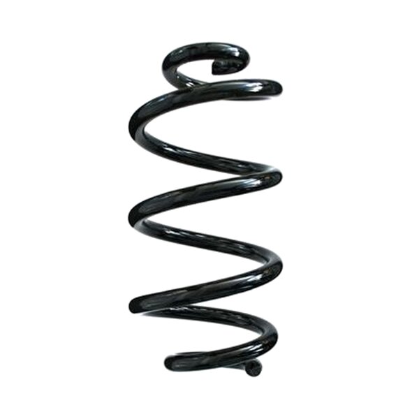 SPIDAN 85960 Fahrwerksfeder hinten