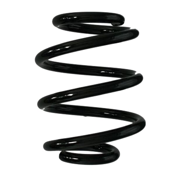 SPIDAN 86547 Fahrwerksfeder hinten