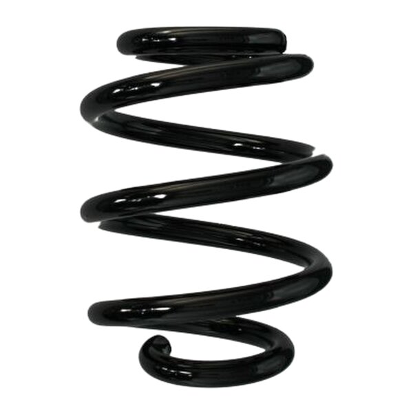 SPIDAN 86549 Fahrwerksfeder hinten
