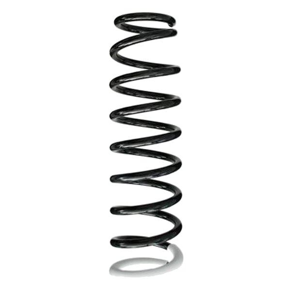 SPIDAN 86398 Fahrwerksfeder hinten