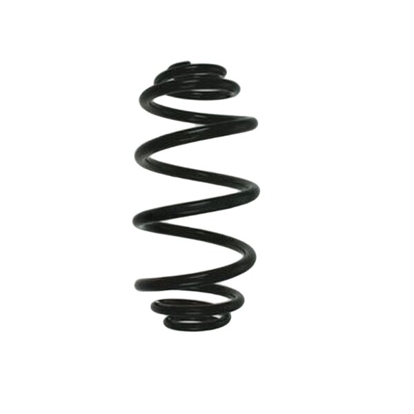Suspension Spring Rear Axle Mini Block SPIDAN for e.g....