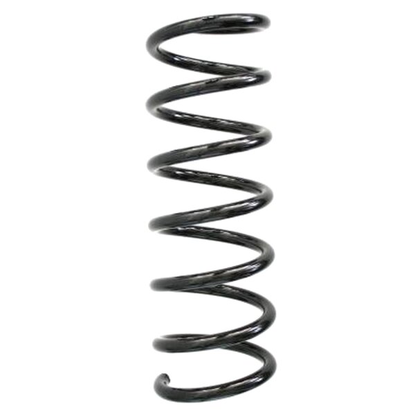 SPIDAN 86667 Fahrwerksfeder hinten