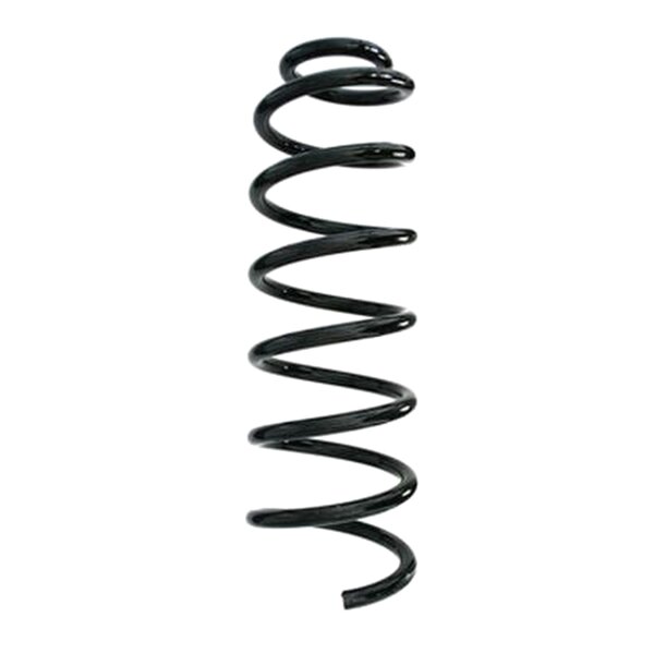 SPIDAN 86810 Fahrwerksfeder hinten