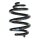 Suspension Spring Rear Axle Coil spring with inconstant wire diameter SPIDAN