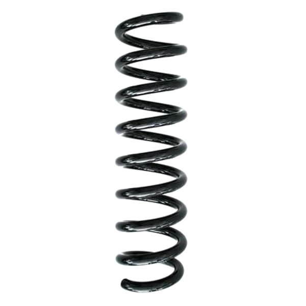 SPIDAN 86879 Fahrwerksfeder hinten