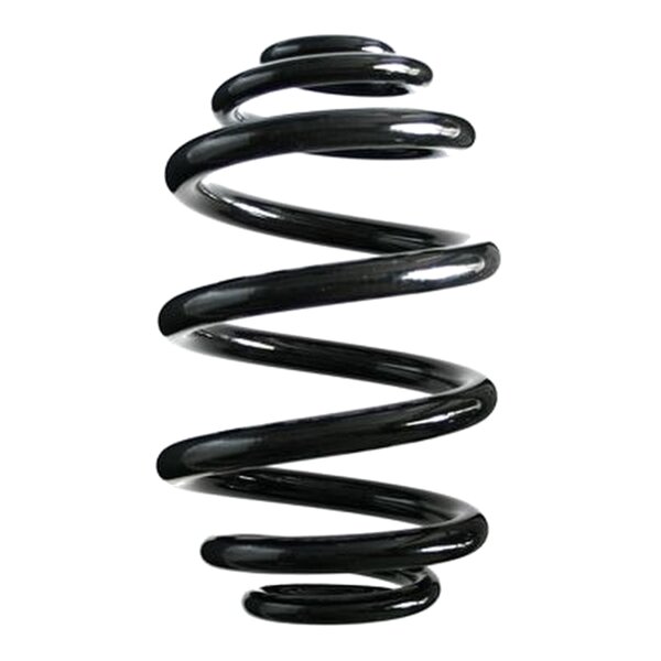 SPIDAN 86789 Fahrwerksfeder hinten
