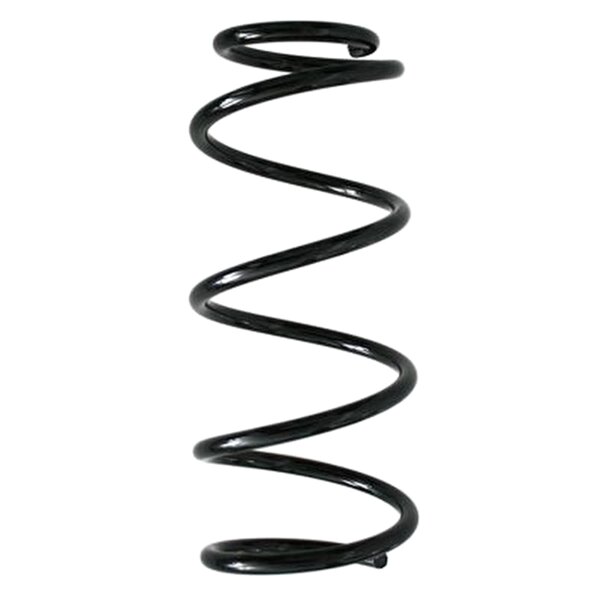 SPIDAN 86929 Fahrwerksfeder hinten