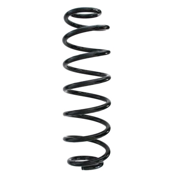 SPIDAN 87100 Fahrwerksfeder hinten