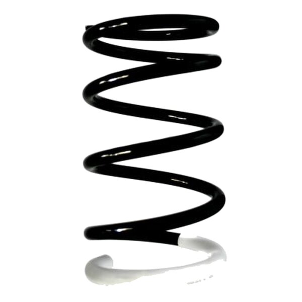 Suspension Spring Rear Axle Coil spring with constant...