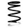 Suspension Spring Rear Axle Coil spring with constant wire diameter SPIDAN for TOYOTA RAV 4 II