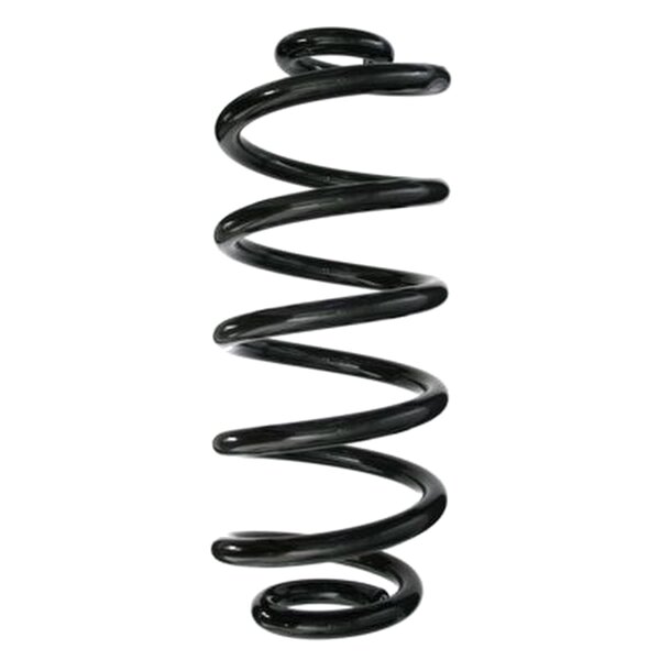 SPIDAN 87159 Fahrwerksfeder hinten