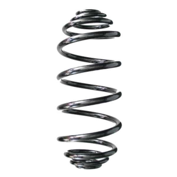 SPIDAN 87221 Fahrwerksfeder hinten