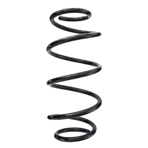 SPIDAN 87229 Fahrwerksfeder hinten
