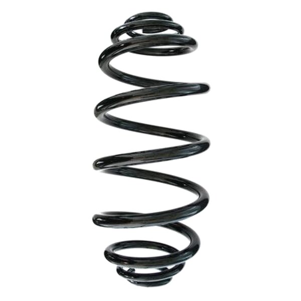 SPIDAN 87230 Fahrwerksfeder hinten