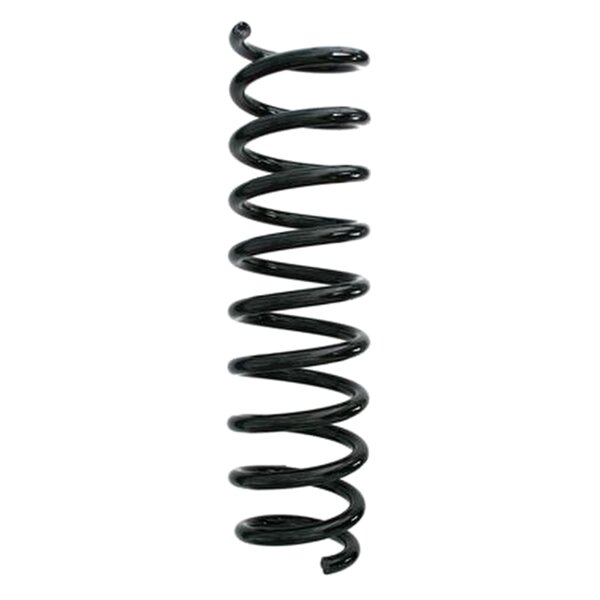 SPIDAN 87255 Fahrwerksfeder hinten