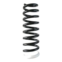 Suspension spring rear axle coil spring Ø100mm...
