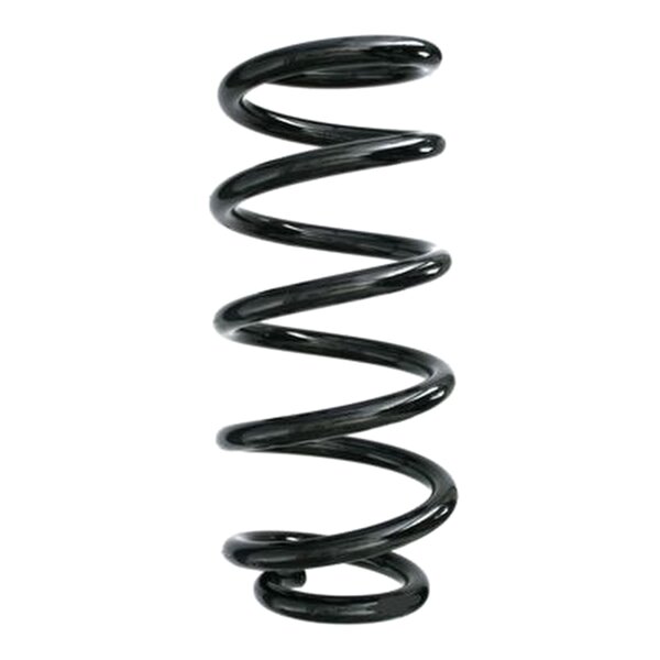 SPIDAN 87283 Fahrwerksfeder hinten