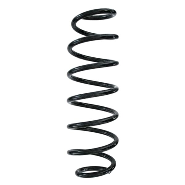 SPIDAN 87287 Fahrwerksfeder hinten