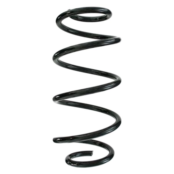 SPIDAN 87295 Fahrwerksfeder hinten