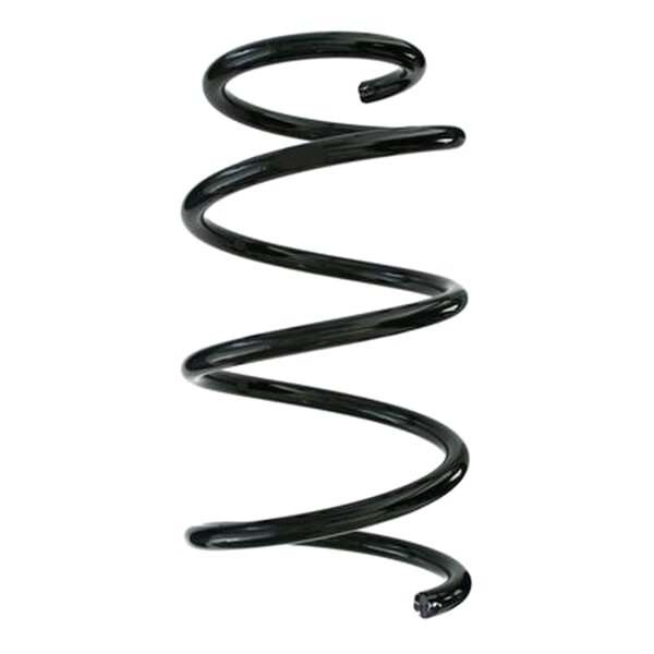 SPIDAN 87335 Fahrwerksfeder hinten