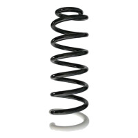 Fahrwerksfeder Hinterachse Schraubenfeder Ø108mm SPIDAN für u.a. CITROËN C5 III