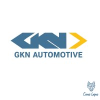 Gelenk Lenksäule Kreuzgelenk Dauerschmierung 48mm...