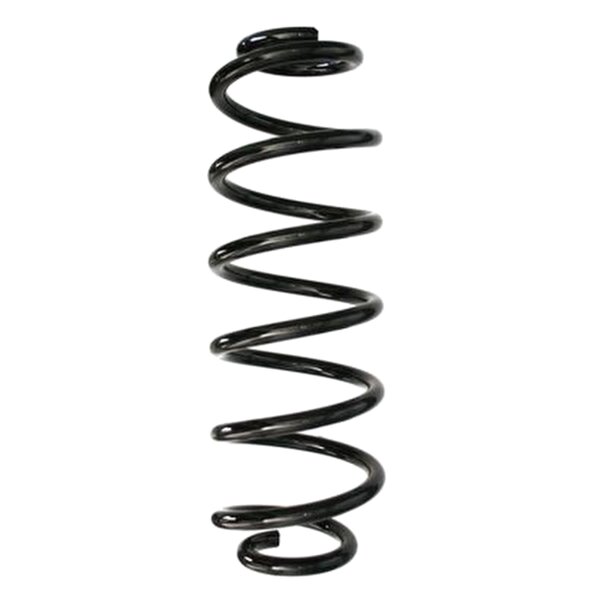 SPIDAN 87558 Fahrwerksfeder hinten