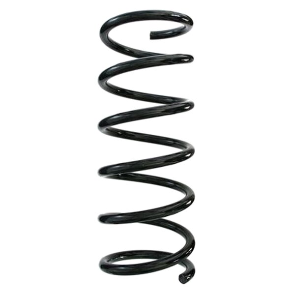 SPIDAN 87564 Fahrwerksfeder hinten