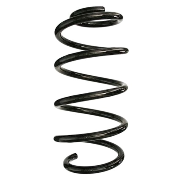 SPIDAN 87650 Fahrwerksfeder vorne