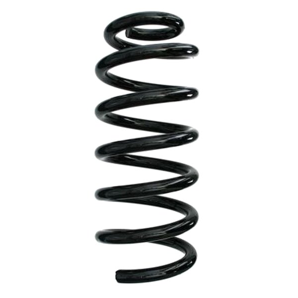 SPIDAN 87694 Fahrwerksfeder hinten