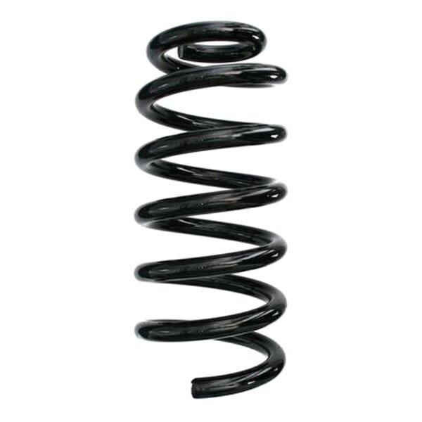 SPIDAN 87696 Fahrwerksfeder hinten